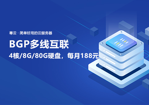 简单好用的云服务器-尊云服务器【网站欣赏】
